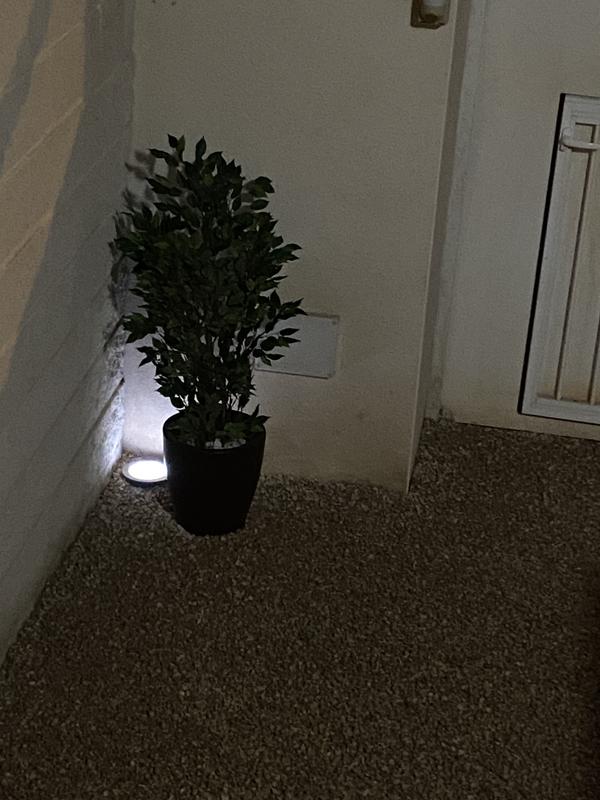 Abrir modal de revisión 2 de 2