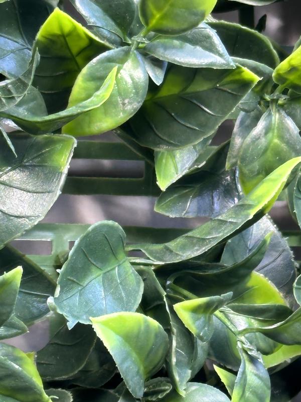 Abra o modal de avaliação 1 de 3