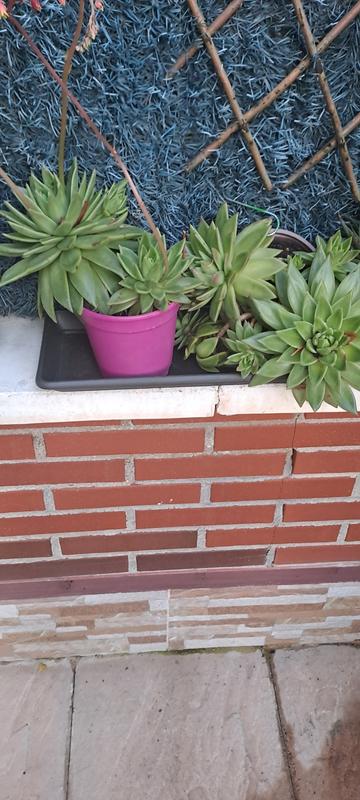 Abrir modal de revisión 1 de 1