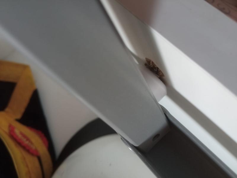 Ouvrir la fenêtre modale de l'avis 2 sur 2