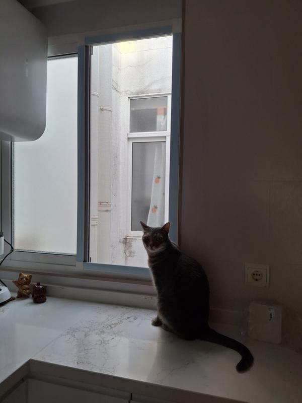 Abrir modal de revisión 1 de 2