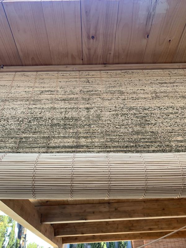 Abra o modal de avaliação 4 de 4