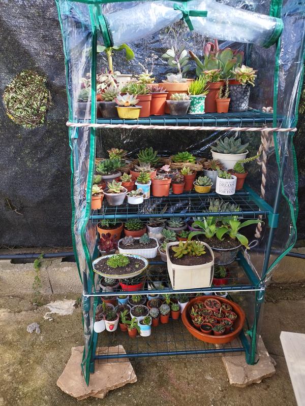 Abrir modal de revisión 1 de 1