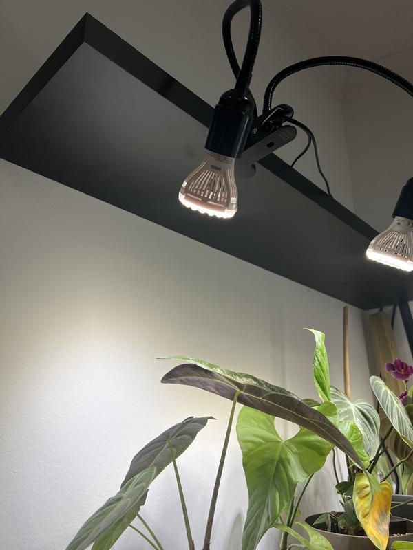 Revisione aperta modale 1 su 1