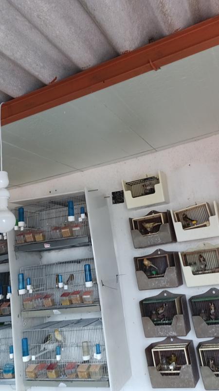 Abrir modal de revisión 1 de 1