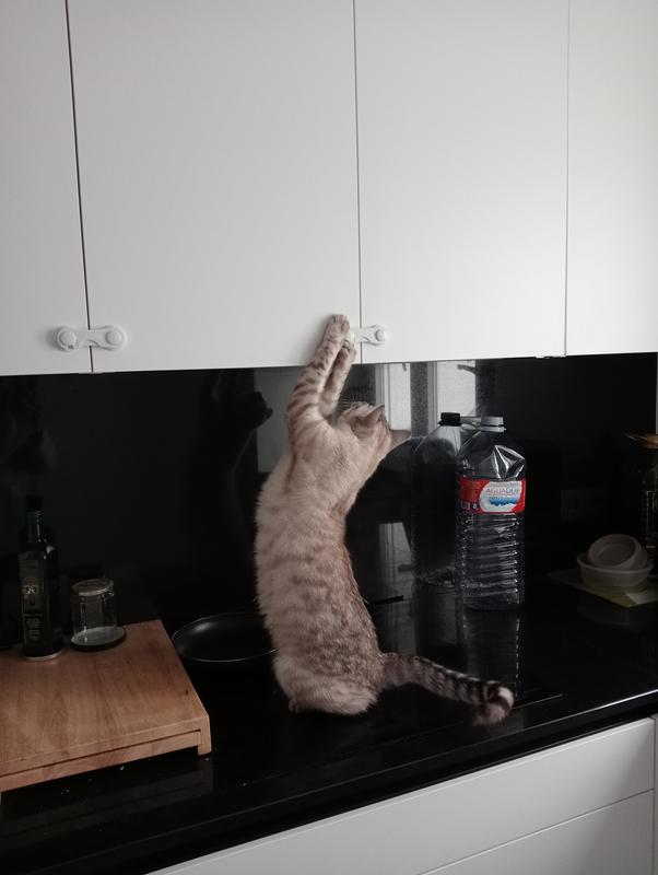 Abrir modal de revisión 1 de 1