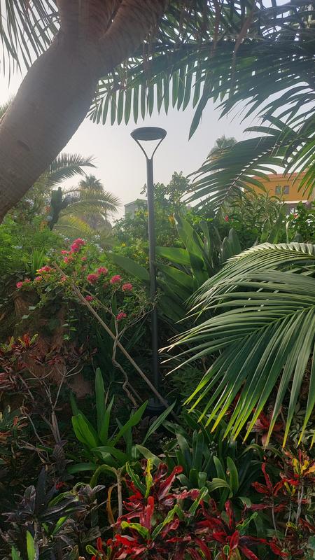 Abrir modal de revisión 1 de 1