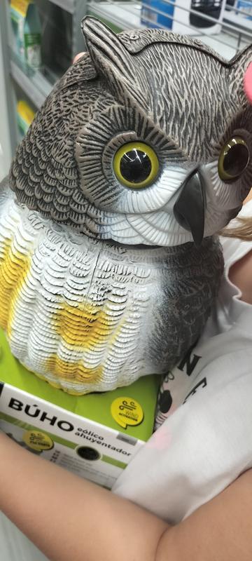 Abra o modal de avaliação 1 de 1