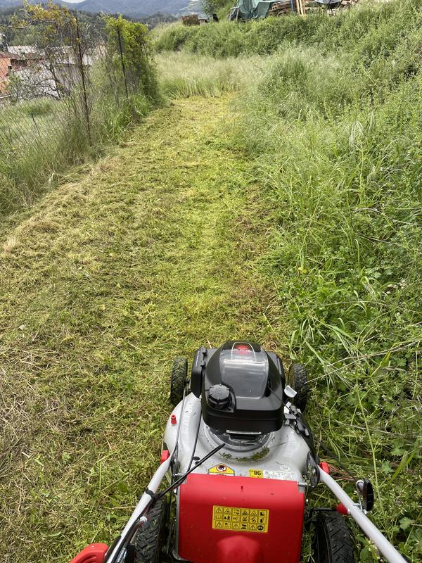 Abrir modal de revisión 2 de 2