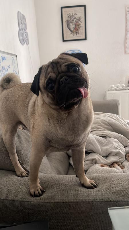 Abrir modal de revisión 1 de 1