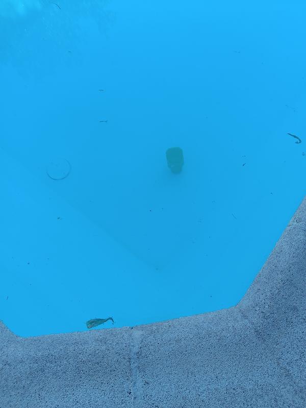 Abra o modal de avaliação 1 de 1