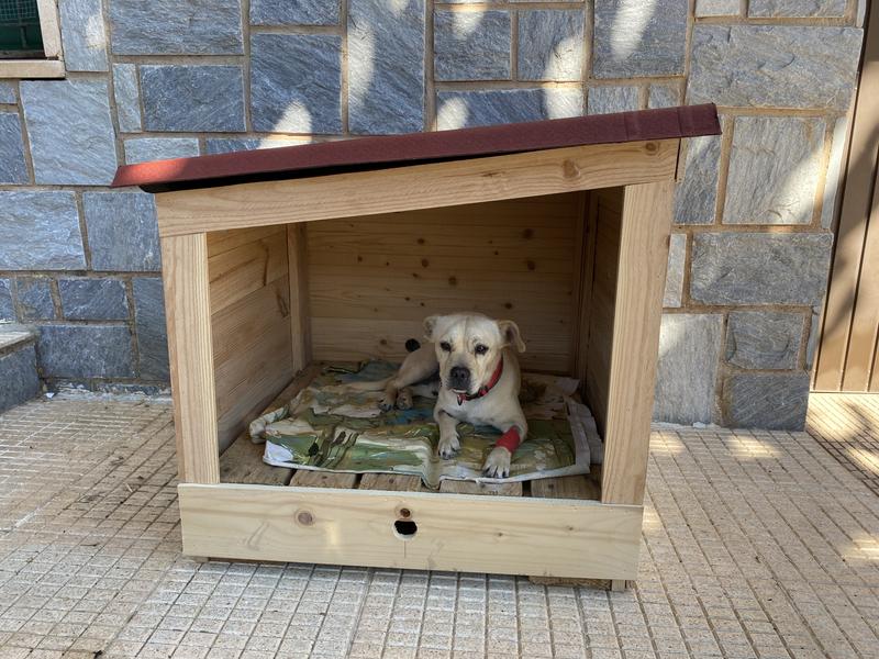 Abrir modal de revisión 1 de 1