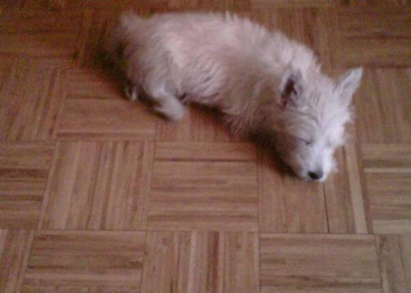 Abra o modal de avaliação 1 de 3