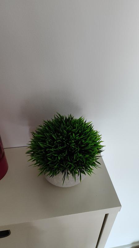 Abrir modal de revisión 1 de 1