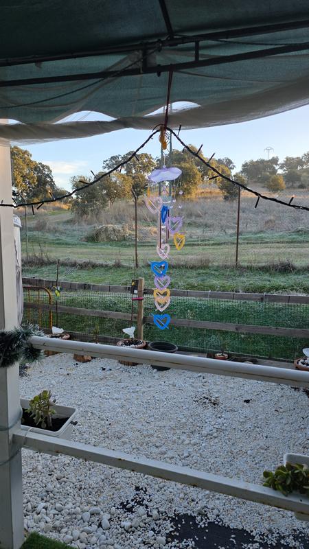 Abrir modal de revisión 2 de 2