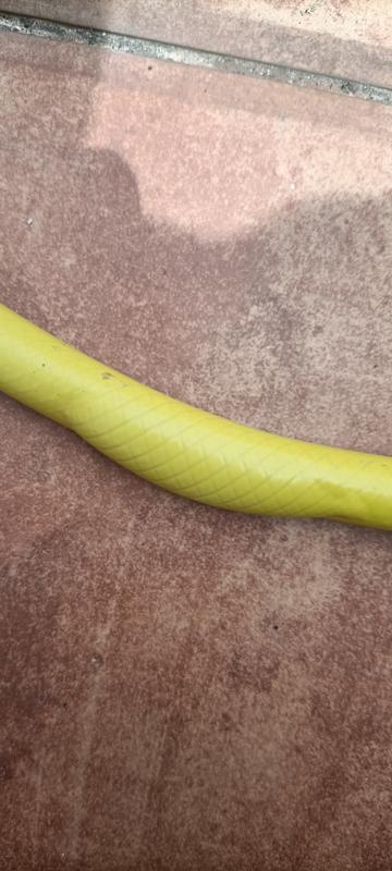 Abrir modal de revisión 1 de 2