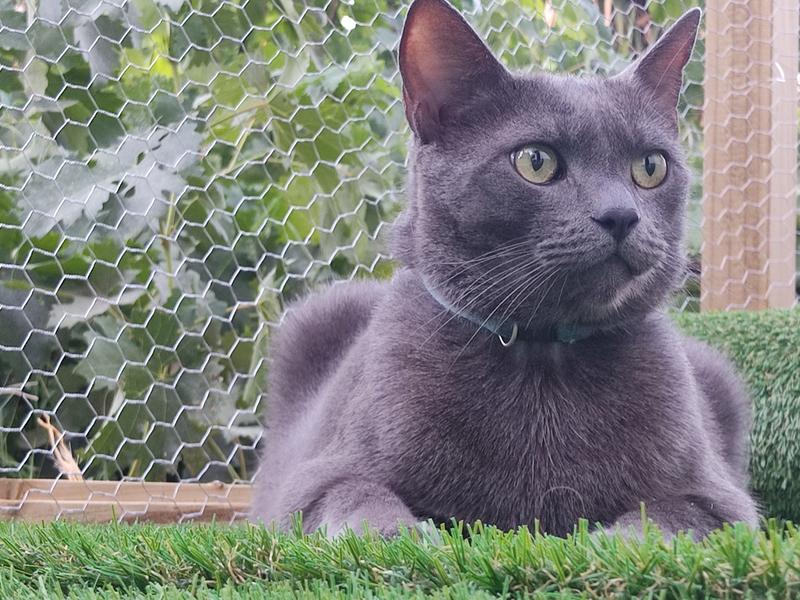 Abrir modal de revisión 1 de 1