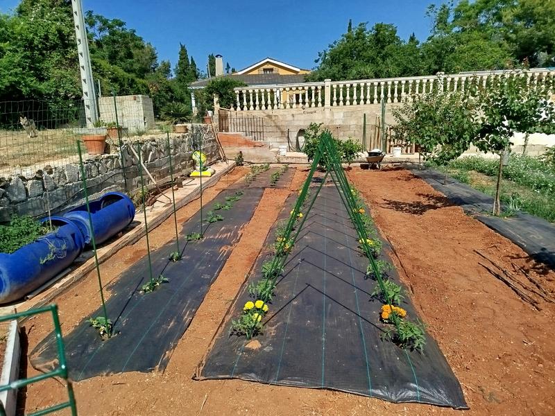 Abrir modal de revisión 1 de 1