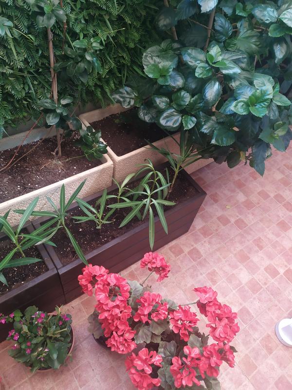 Abrir modal de revisión 1 de 3