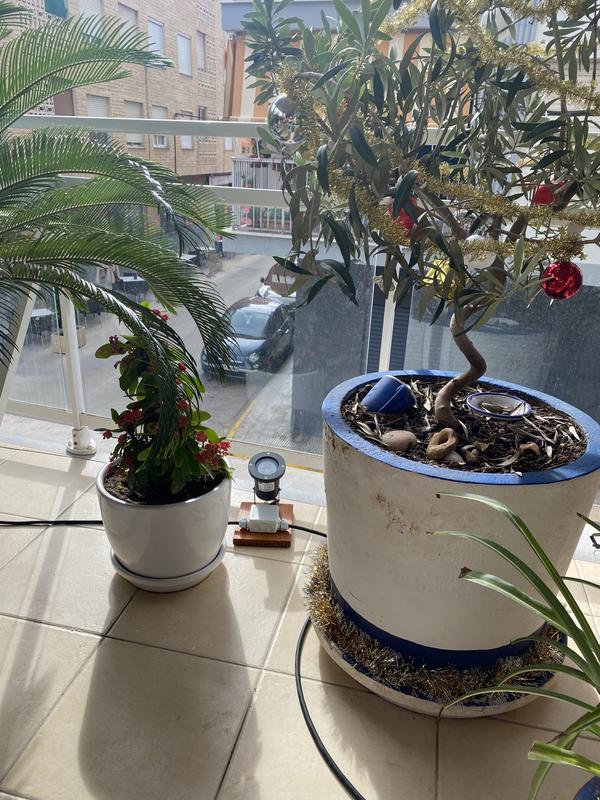 Ouvrir la fenêtre modale de l'avis 1 sur 1