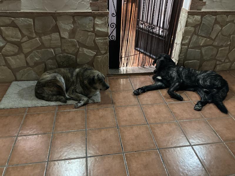 Abrir modal de revisión 1 de 1