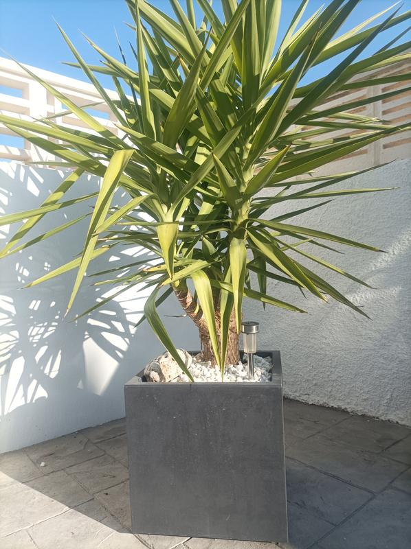 Ouvrir la fenêtre modale de l'avis 1 sur 1