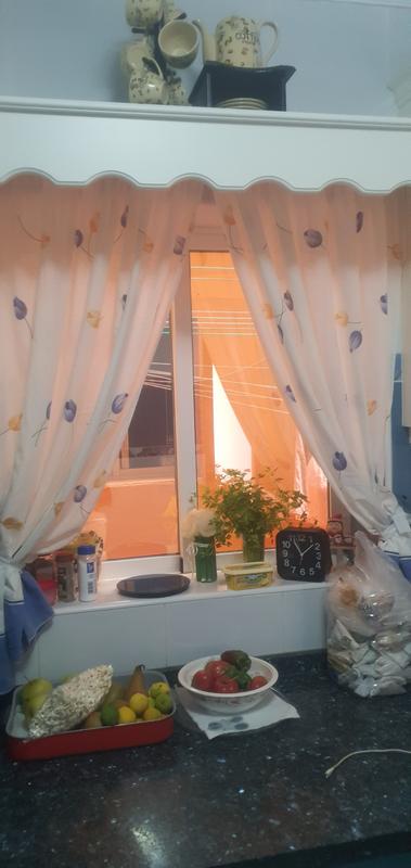 Abra o modal de avaliação 1 de 1