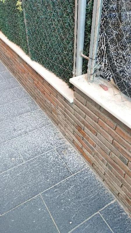 Abrir modal de revisión 1 de 1