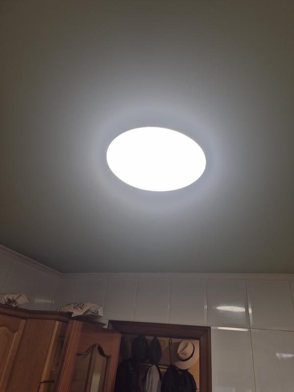 Abrir modal de revisión 1 de 1