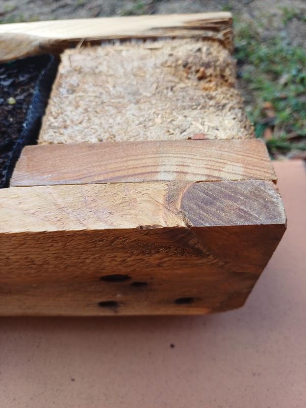 Abrir modal de revisión 1 de 1