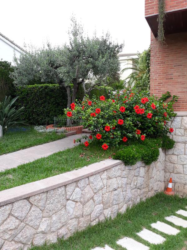 Abrir modal de revisión 1 de 1