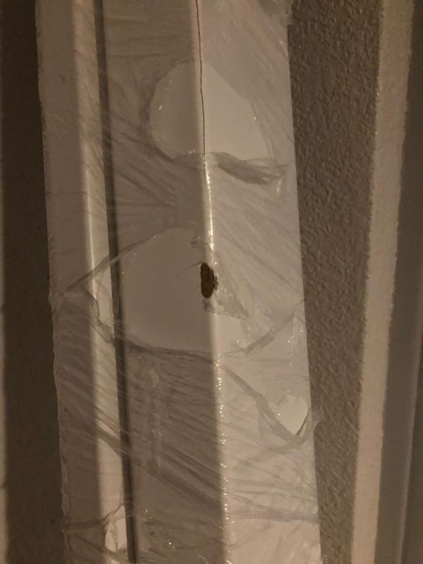 Abrir modal de revisión 2 de 6