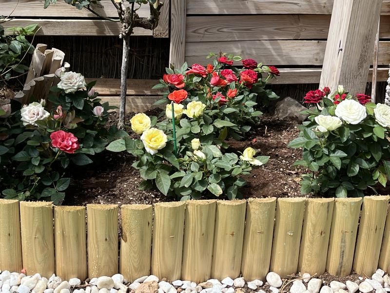 Abrir modal de revisión 2 de 2