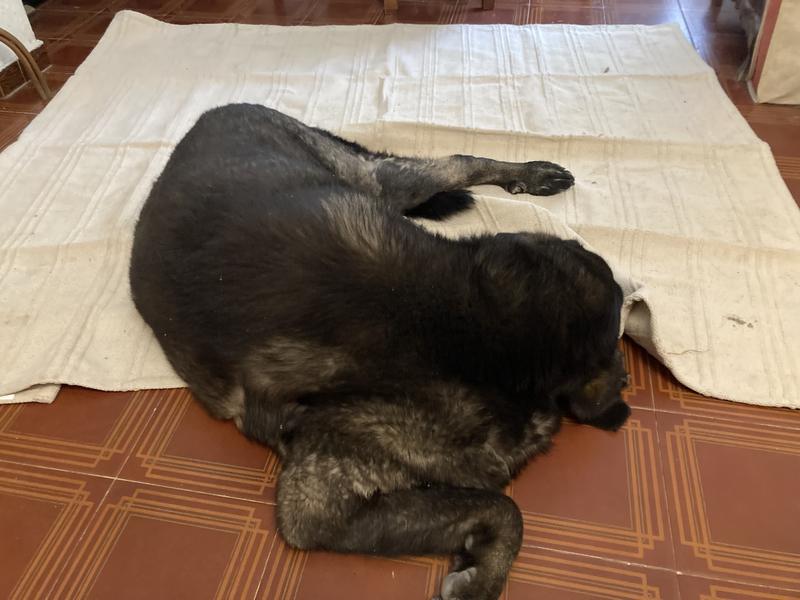 Abrir modal de revisión 1 de 1