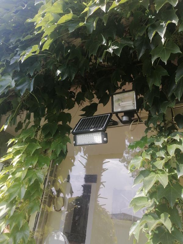 Abrir modal de revisión 1 de 1