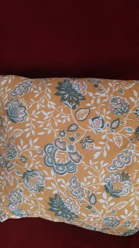 Abrir modal de revisión 1 de 1