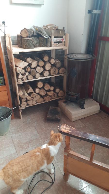 Abrir modal de revisión 1 de 1