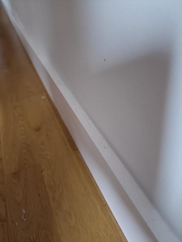 Abrir modal de revisión 1 de 1