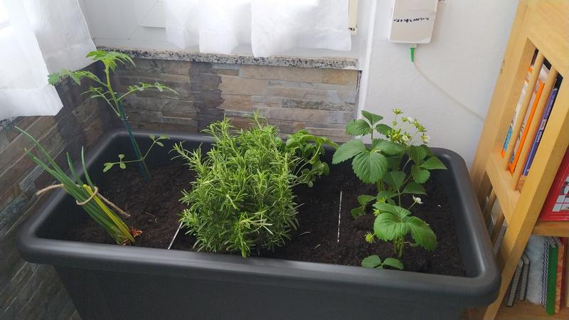 Abra o modal de avaliação 1 de 1