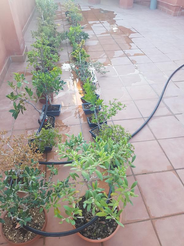 Abrir modal de revisión 1 de 3