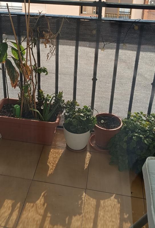 Abrir modal de revisión 1 de 1