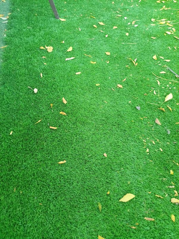 Abrir modal de revisión 1 de 1