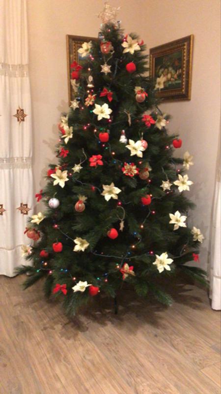 Abrir modal de revisión 1 de 1