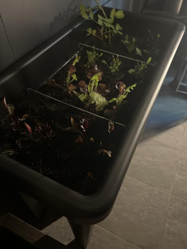 Abra o modal de avaliação 1 de 1