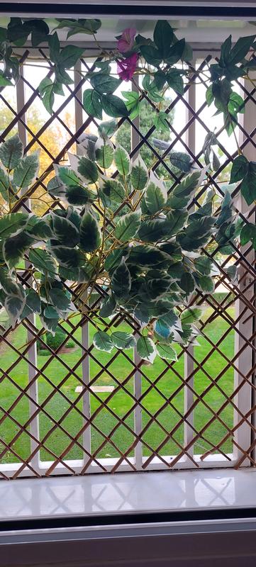 Abra o modal de avaliação 1 de 1