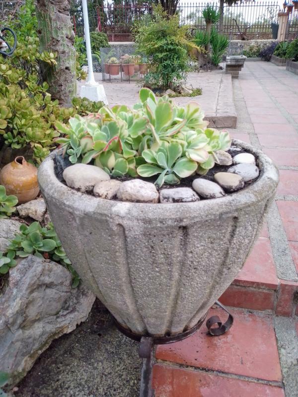 Abrir modal de revisión 1 de 1