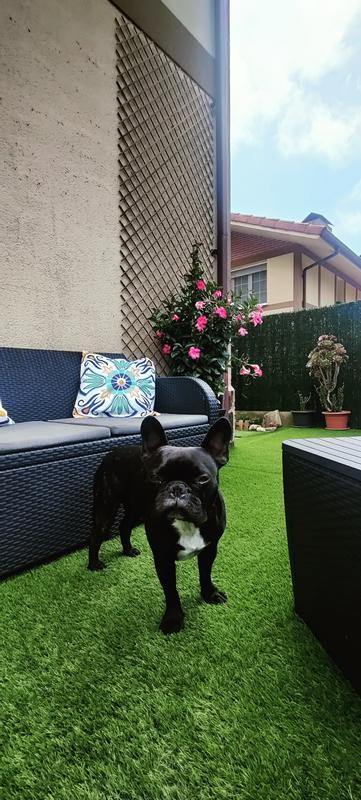 Abra o modal de avaliação 1 de 1