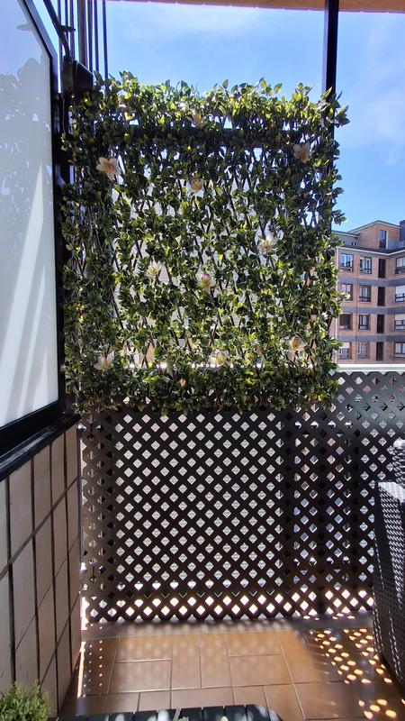 Abrir modal de revisión 2 de 3