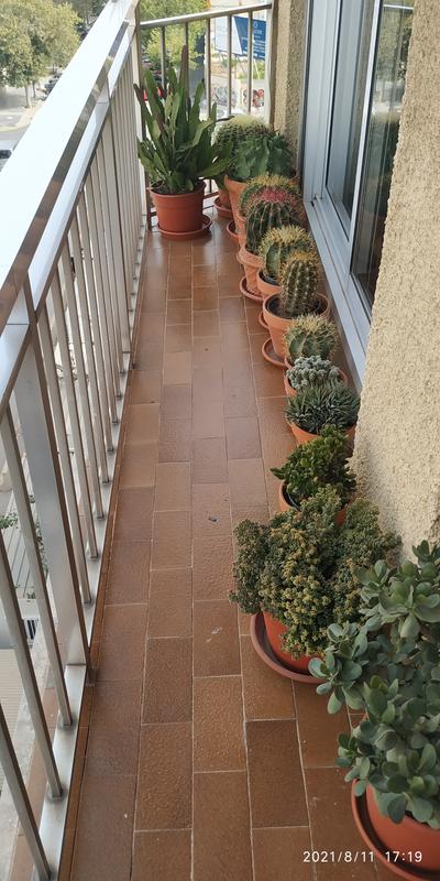 Abrir modal de revisión 4 de 4