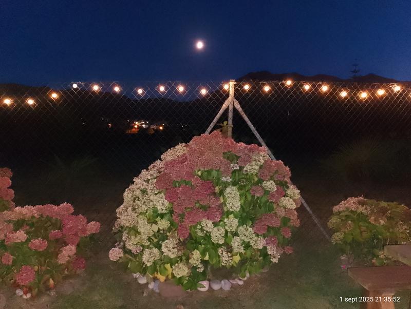 Abrir modal de revisión 2 de 2